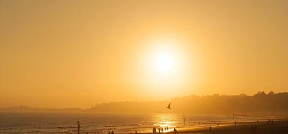 Golden sunshine beach with people