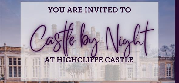 Castle by Night poster