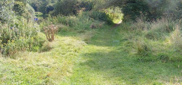 Monday morning meanders picture of grassy track