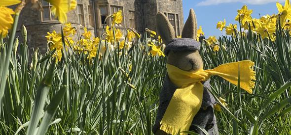 Easter bunny sat amongst the daffodils in front of Beaulieu's Palace House