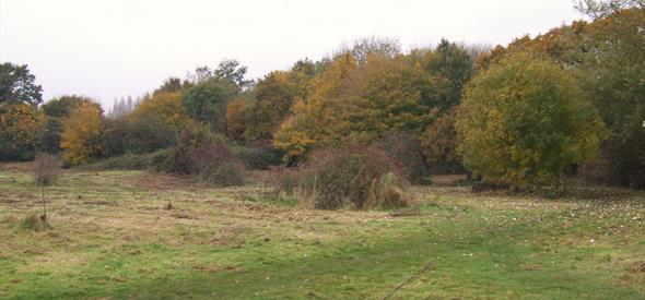 Iford Meadows