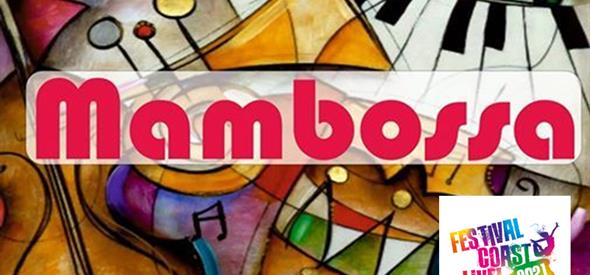 colourful musical instrument logo with Mamboss across middle