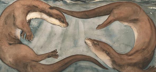 Otter artwork by Jackie Morris