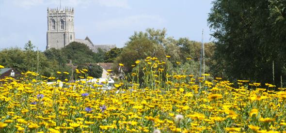 Riverlands meadow