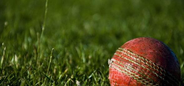Old cricket ball nestled in luscious grass.