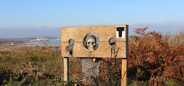 Skeleton hanging in a wooden frame