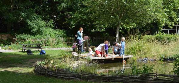 Pond Dipping