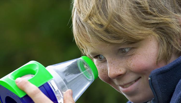 Boy looking in bug hunting pot.