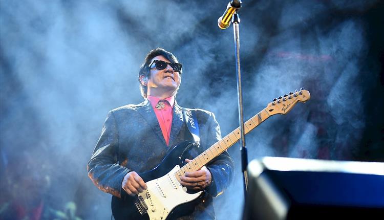 Barry Steele and Friends – The Roy Orbison Story