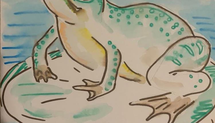 Drawing of a frog