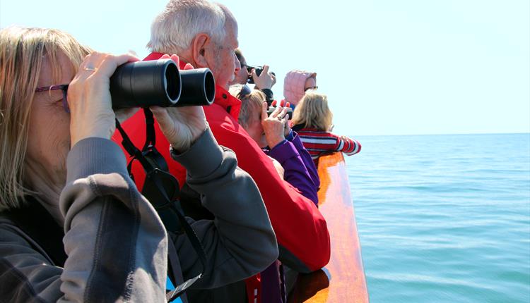 People with binoculars looking at something from a boat