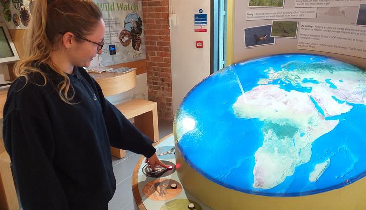 Lady pressing button to illuminate globe