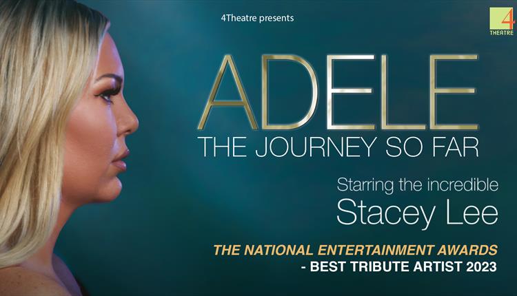 Adele- The Journey So Far Poster