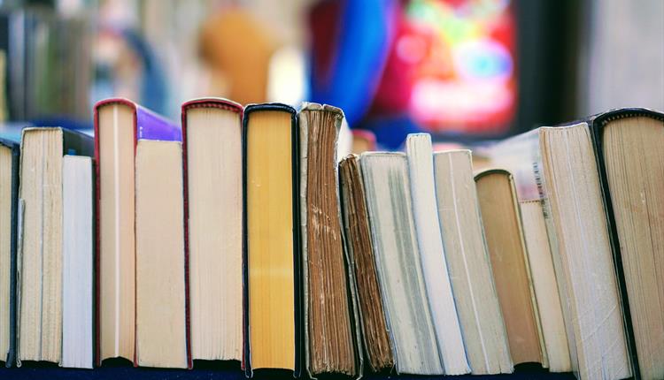 Shot of generic library books lined up next to one another