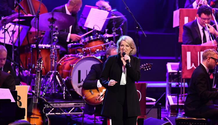 THE CLARE TEAL SEVEN