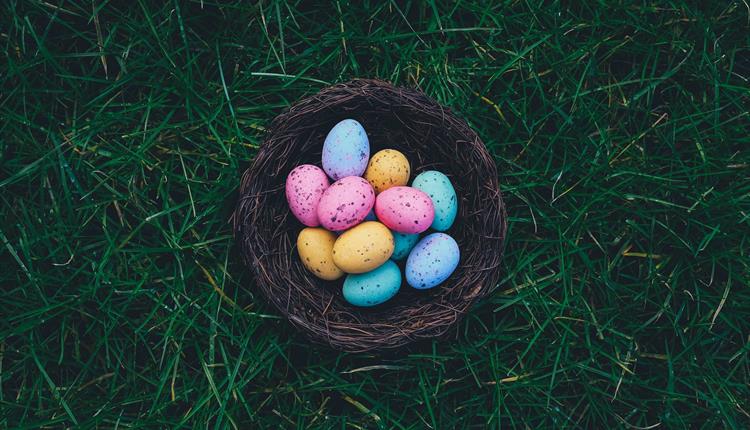 Brightly coloured eggs in a nest resting on dark green grass