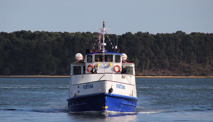 City Cruise boat on the sea