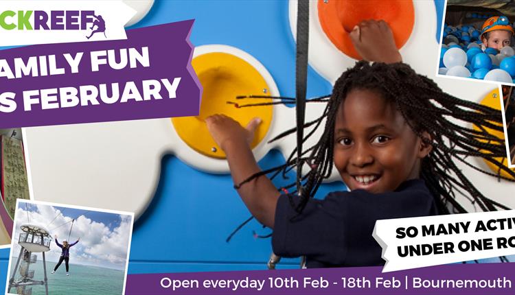 Family Fun this February