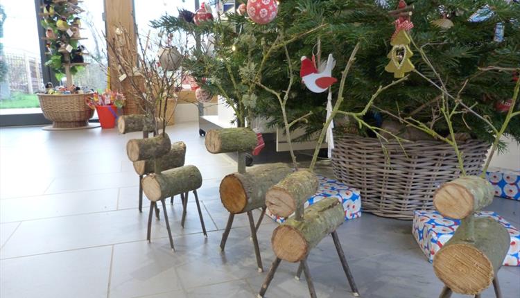 Reindeer Making