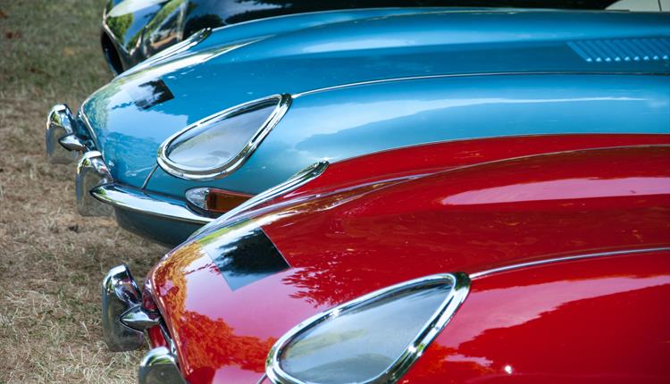 Jaguars lined up at Simply Jaguar