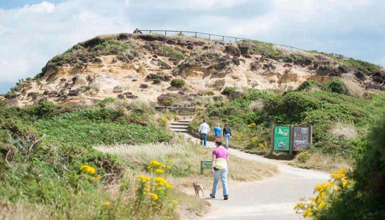 Steps in the cliff