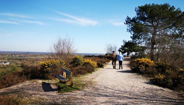 A trail at the peak of the Hill with a great view of Christchurch.