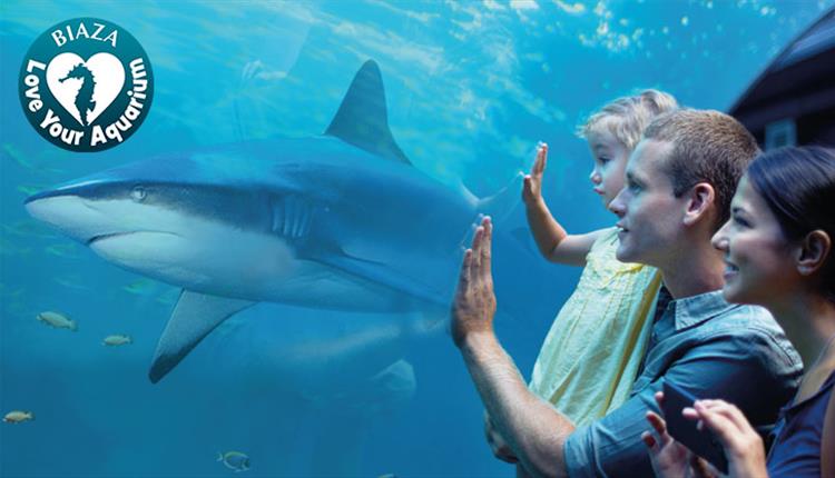 A family looking at a shark through the tank window at the Oceanarium