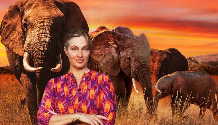 SABA DOUGLAS-HAMILTON - IN THE FOOTSTEPS OF ELEPHANTS
