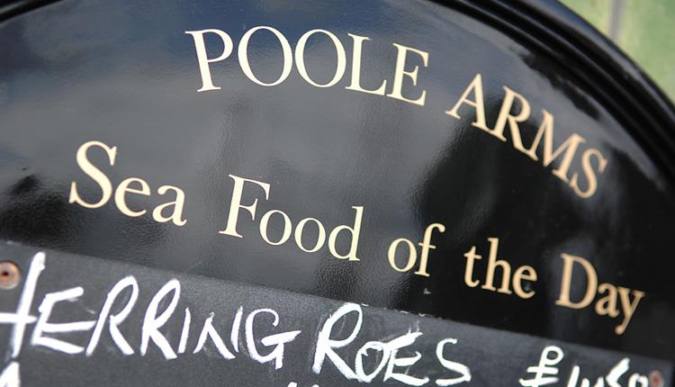 Poole Arm Sea Food of the Day