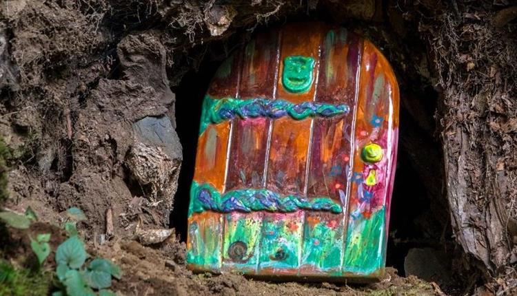 Fair door in a tree.