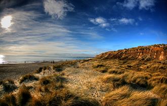 sandy beach, beach, blue sky, cliff side, cliffs, beach grass