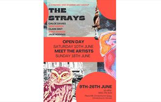 Poster Collage showing ceramics, landscapes and an owl prompting 'The Strays' exhibition