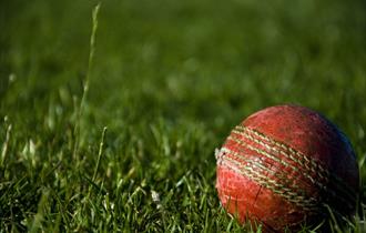 Old cricket ball nestled in luscious grass.