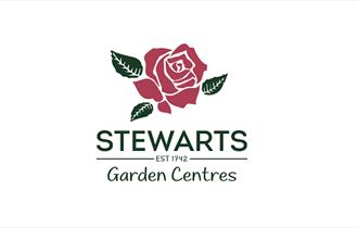 Stewarts logo red rose.