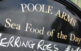 Poole Arm Sea Food of the Day