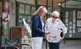 Pine Walk Art Exhibition