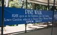 Pine Walk Art Exhibition