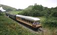 Open train through landscape green area