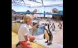 Boy kneeling down to greet a penguin
