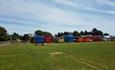 Yellow Buses at Kings Park