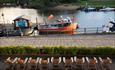 Deck chairs set up by the riverside.