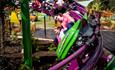 Purple and green rollercoaster