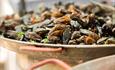 Delicious looking mussels seasoned and waiting to be eaten