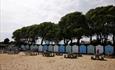 Beach huts at Avon Beach with trees on the hill behind.