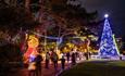 Lit up giant teddy bear and walk with with festive lights