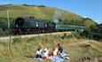 Train passes a family picnic