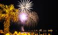 fireworks exploding in the night sky