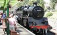 Train standing idle at railway station close-up