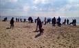 Dog walking club walking on Bournemouths dog friendly beach