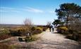 A trail at the peak of the Hill with a great view of Christchurch.